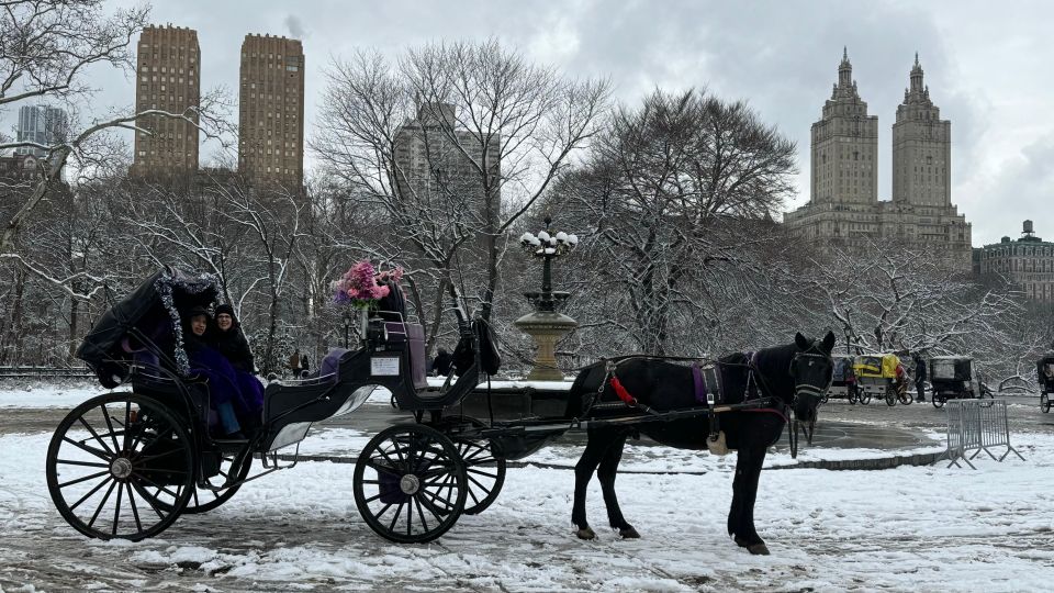 NYC Empire State Horse Carriage Rides (Central Park Tour) - Pricing and Booking