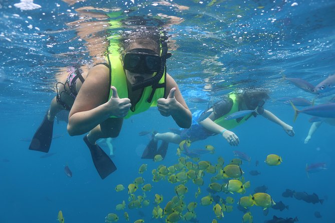 Oahu Dolphin Watch With Turtle Snorkel & Water Slide - Included Amenities