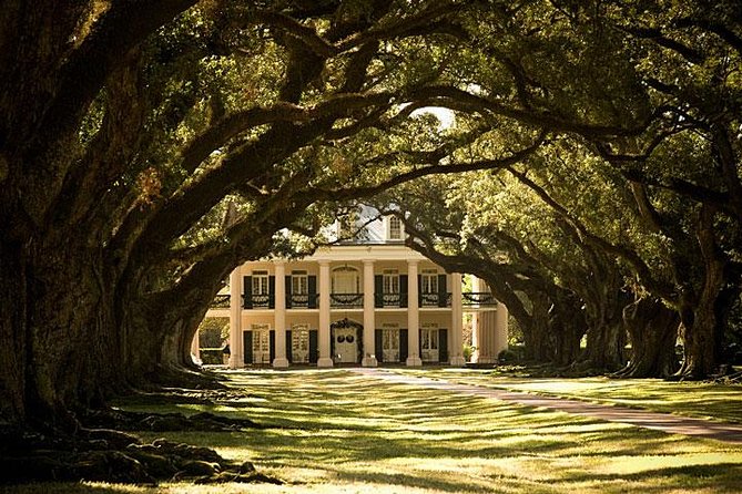 Oak Alley Plantation and Small Airboat Tour From New Orleans - Airboat Adventure