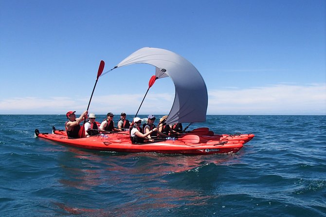 Oarsome Marine Reserve Kayak Tour - Highlights of the Tour