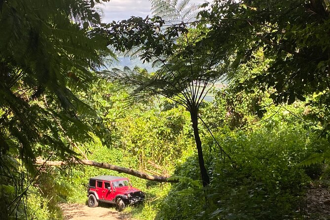 Off-Road Jeep Adventure From Carolina, Puerto Rico - Customer Testimonials