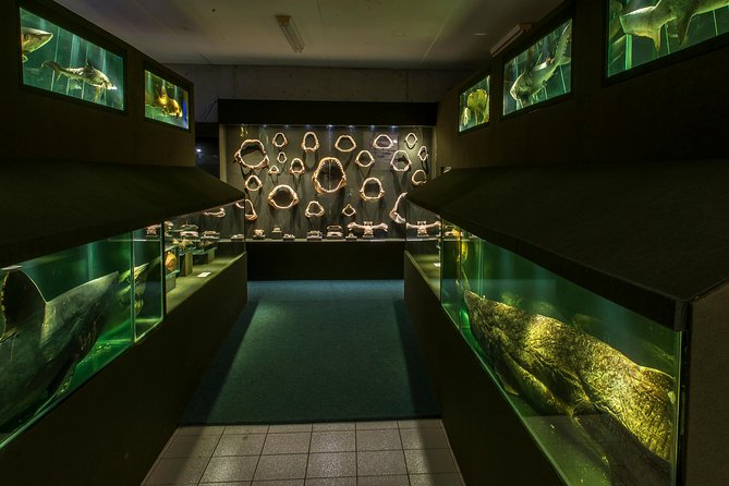 Official Ticket: Oceanographic Museum Univali - Piçarras - SC - Accessibility Options