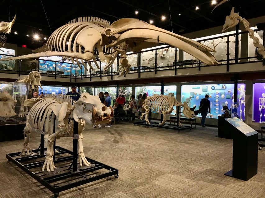 Oklahoma City: SKELETONS: Museum of Osteology Ticket - Highlights of the Experience