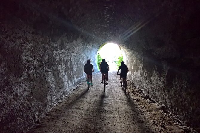 Old Coach Road Self-Guided Bike Tour From Ohakune - Scenic Highlights