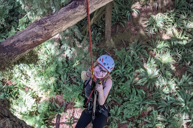 Old-Growth Tree Climbing at Silver Falls State Park - Family-Friendly Climbing Opportunities