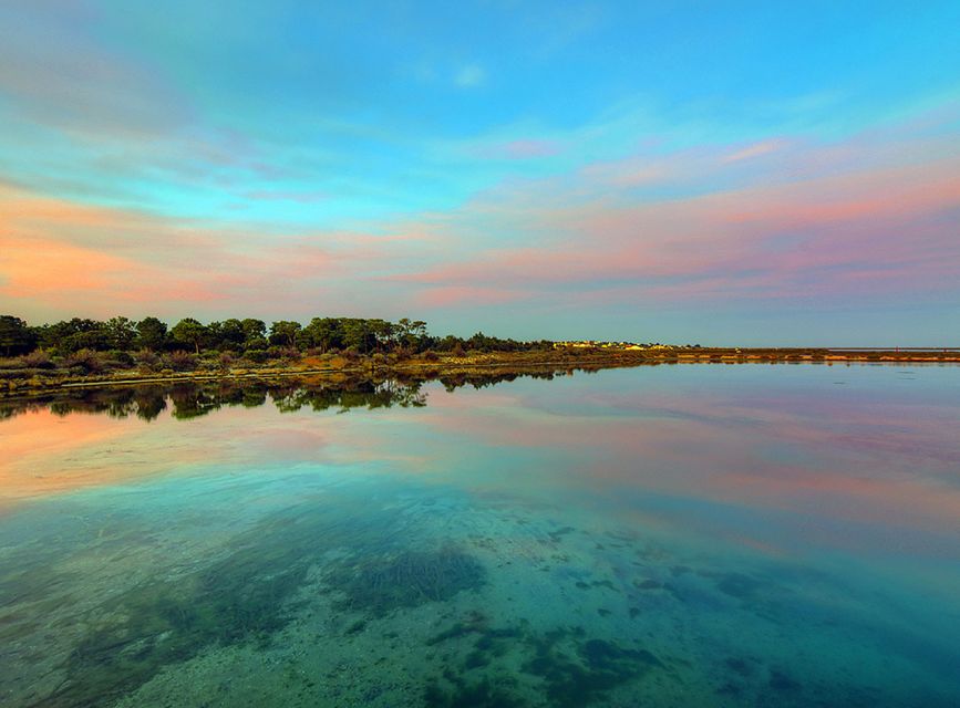 Olhão: 3-Hour Ria Formosa Boat Tour - Experience Highlights