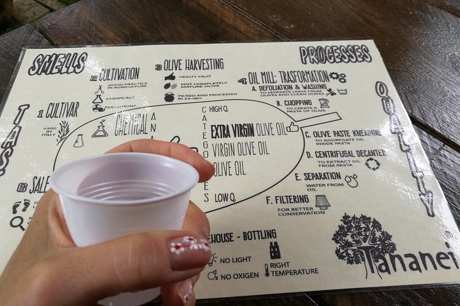 Olive Oil Tour With Tuscan Dinner - Meeting Point and Pickup
