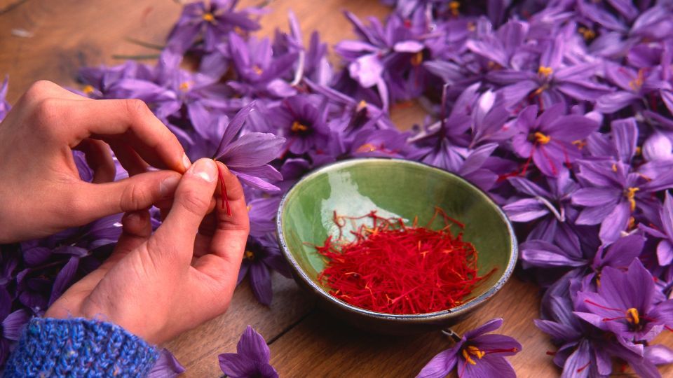 Olmedo: Guided Tour of Saffron Laboratory With Tasting - Booking Information