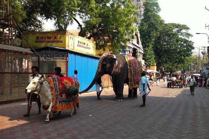 Once Upon A Madurai Trail - Tour Highlights and Features