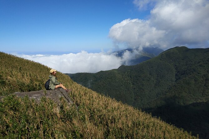 One Day Hike Around Taipeis Yangmingshan National Park - Tour Highlights and Features