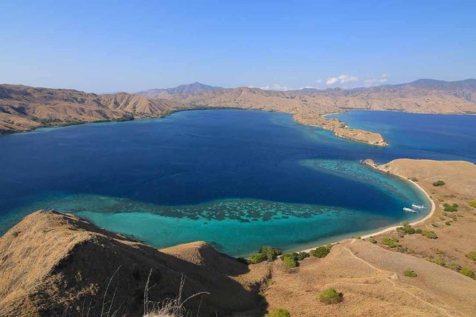 One Day Komodo Trip With Speed Boat - Inclusions