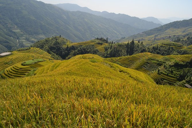 One Day Private Longji Rice Terraces With Minority Village Tour - Yao and Zhuang Minority Cultures