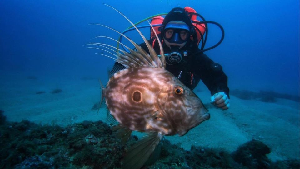 One Scuba Diving Day Trip to Costa Brava - Itinerary