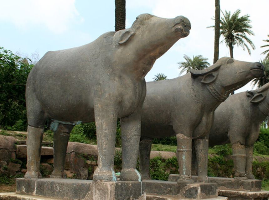 One Way Udaipur To Mount Abu Transfer - Pricing Information