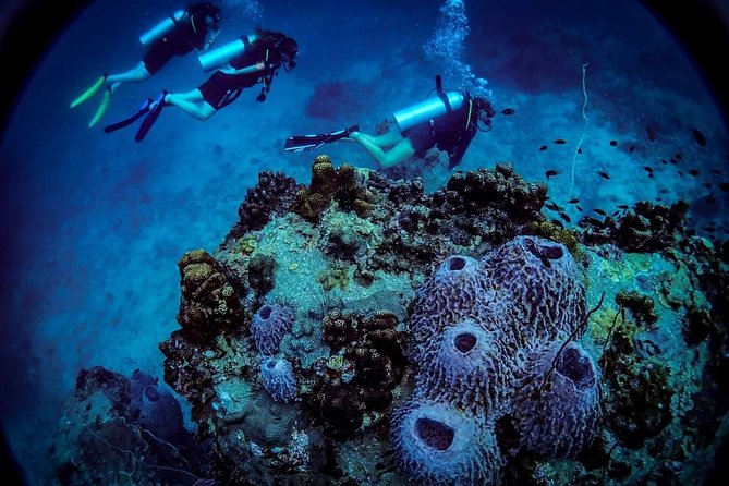 Open Water Course - Become Certified Diver in 3 Days - Included in the Package