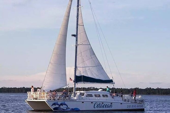 Orange Beach Sun and Sailing Cruise Aboard Catamaran - Health and Safety Guidelines