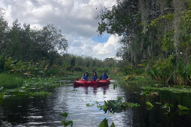 Orlando Manatee Encounters - Tour Overview and Highlights
