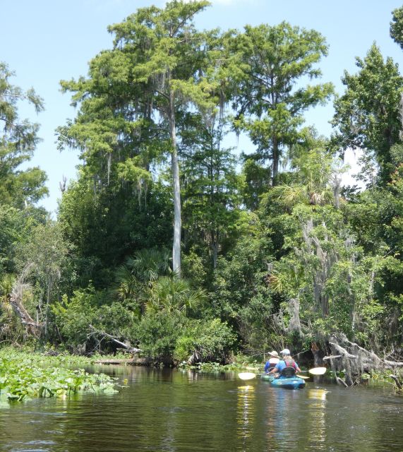 Orlando: Small Group Scenic Wekiva River Kayak Tour - Highlights of the Kayak Adventure