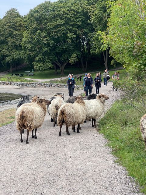 Oslo Island Walks: Island Hopping Tour - Itinerary and Island Highlights