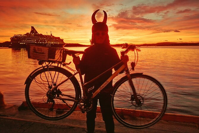Oslo Winter Highlights Bike Tour - Meet Your Guides