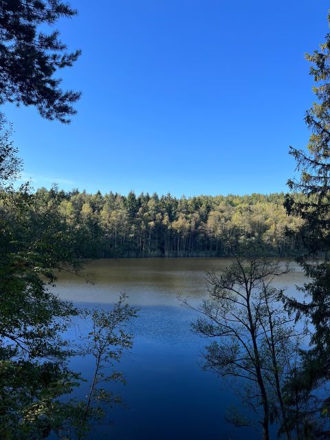 Oslo: Yoga & Nature Walk With Yoga Teacher & Dog - Experience Highlights
