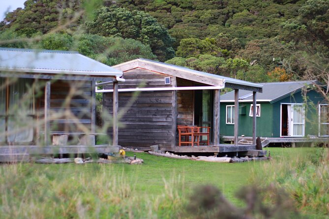 Overnight Experience Tour on Kapiti Island - Accommodation Choices