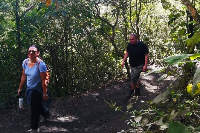 Pacaya Volcano Tour and Hot Springs From Guatemala City - Inclusions and Exclusions