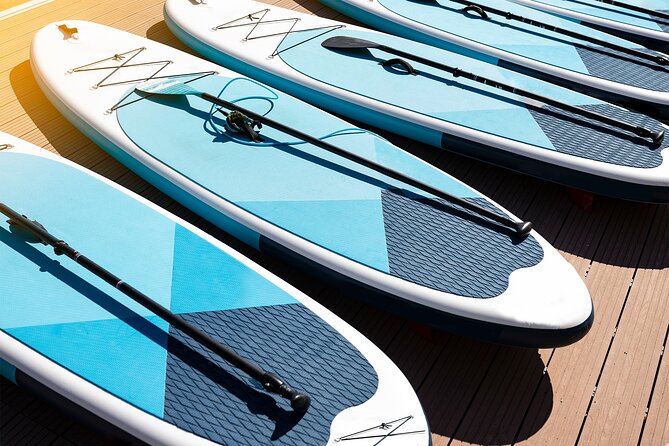Paddle Boarding Lesson in Torrevieja - Meeting Point Details