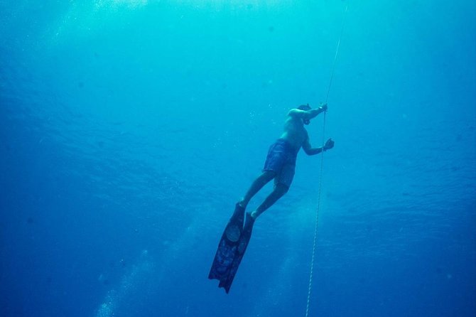 Padi Freediver, Learn How to Freedive and Get Your First License (At Koh Chang) - Training Phases Explained