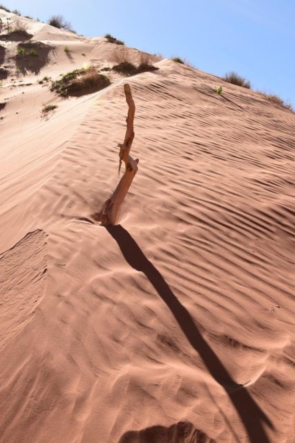 Page: Traditional Navajo Hogan Stay & Antelope Canyon Tour - Pricing and Booking Information