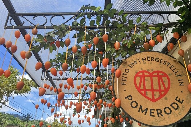 Panoramic Guided Tour to the European Valley Blumenau and Pomerode - German Route - Itinerary Overview