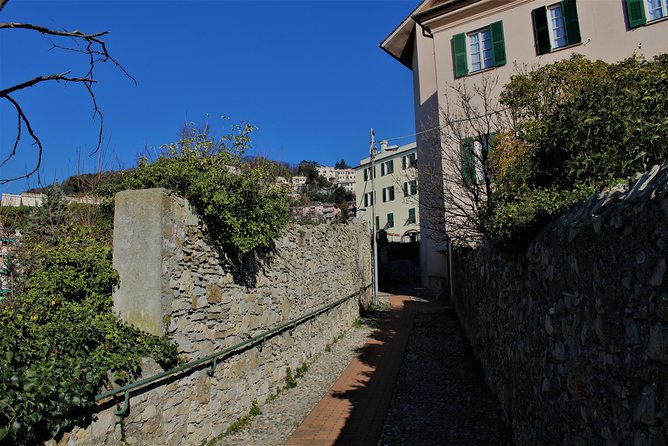 Panoramic Tour Across the Creuze With a Storyteller - Tour Highlights and Features