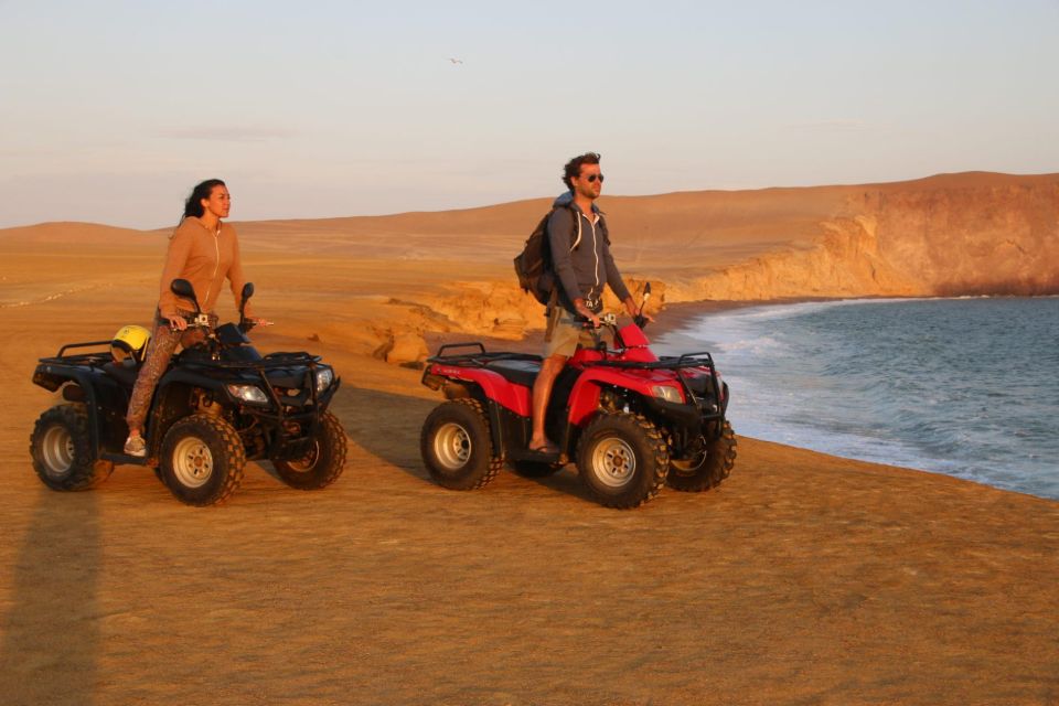 Paracas Reserve Off-Road Expedition - Buggy or Quad - Pricing and Booking Details