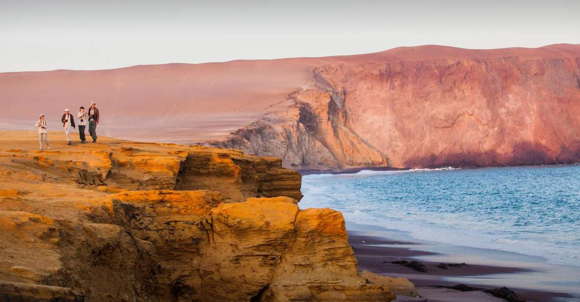 Paracas : Sunset Tour in the Paracas National Reserve - Experience Highlights