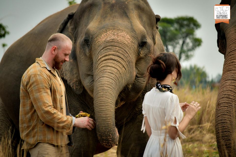 Pattaya: Elephant Jungle Sanctuary Half-Day Tour With Meal - Bonding Through Bathing Rituals