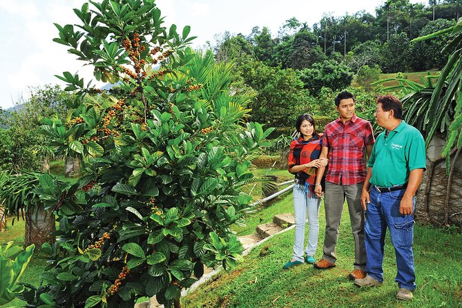 Penang Tropical Fruit Farm With Fruit Tasting - Location and Accessibility