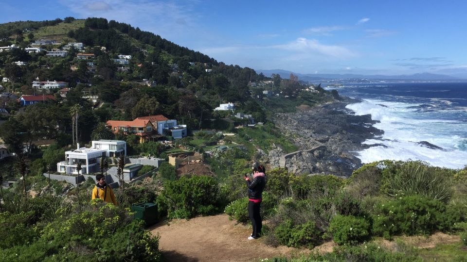 Penguins Watching Cachagua Island in Zapallar From Santiago - Itinerary Highlights
