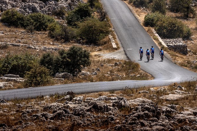 Personalised Road Bike Tour in Malaga - Personalized Bike Fitting