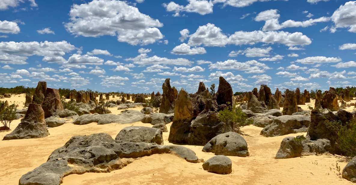 Perth: Pinnacles Desert Bush Walk Guided Tour With Lunch - Highlights