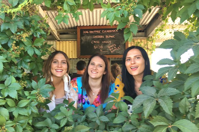 Perth River Cruise and Vineyard Experience: Best of Both Worlds - Itinerary Highlights