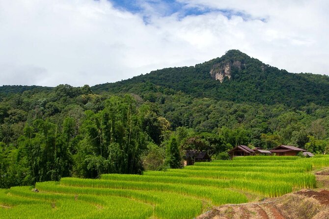 Pha Dok Siew Nature Trail & Doi Inthanon National Park From Chiang Mai - Included Amenities