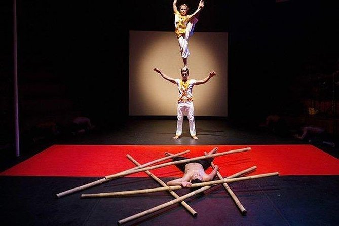 Phare: the Cambodian Circus Show With Pick up & Drop off - Performance Highlights