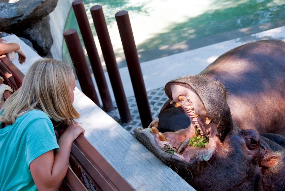 Philadelphia: Philadelphia Zoo Entry Ticket - Architectural and Botanical Highlights