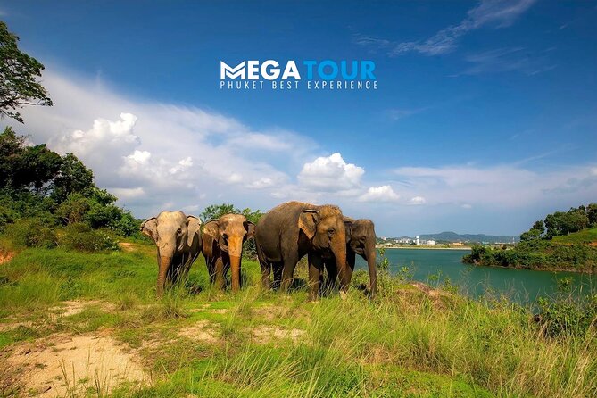 Phuket Best: City Tour & Elephant Park Experience - Highlights of the Tour