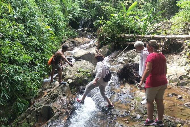 Phuket Jungle Trekking Experience at Khao Phra Taew National Park - Tour Inclusions