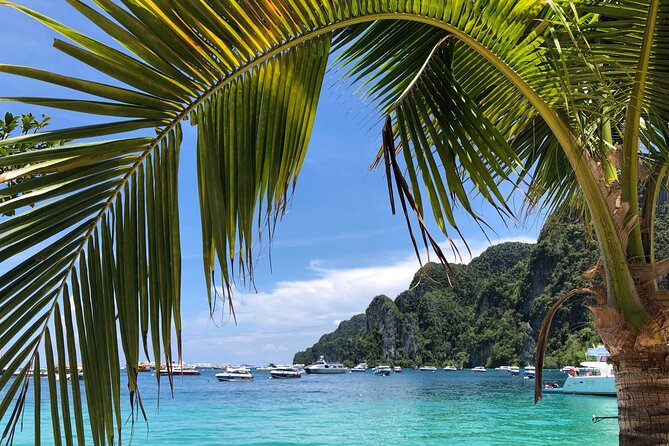 Phuket to Phi Phi Islands by Express Ferry Including Lunch - Itinerary Highlights