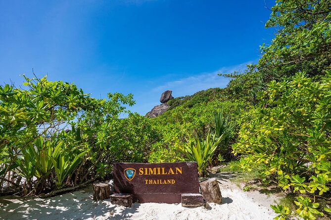 Phuket to Similan Islands Snorkeling Tour - Inclusions and Meeting Details
