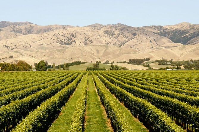 Picton Shore Excursion Marlborough Wine Region Small-Group Tour - Inclusions and Logistics