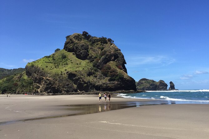 Piha Waitakere Rainforest Wine Tour From Auckland - Wine Tasting Experience