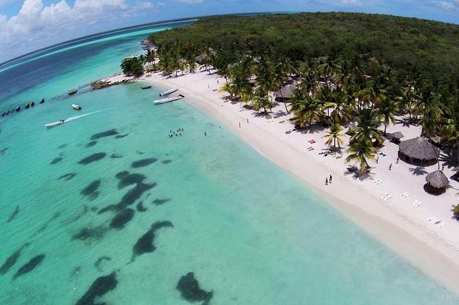 Platinum Private Saona Island Tour for Groups of 10+ People - Transportation Details